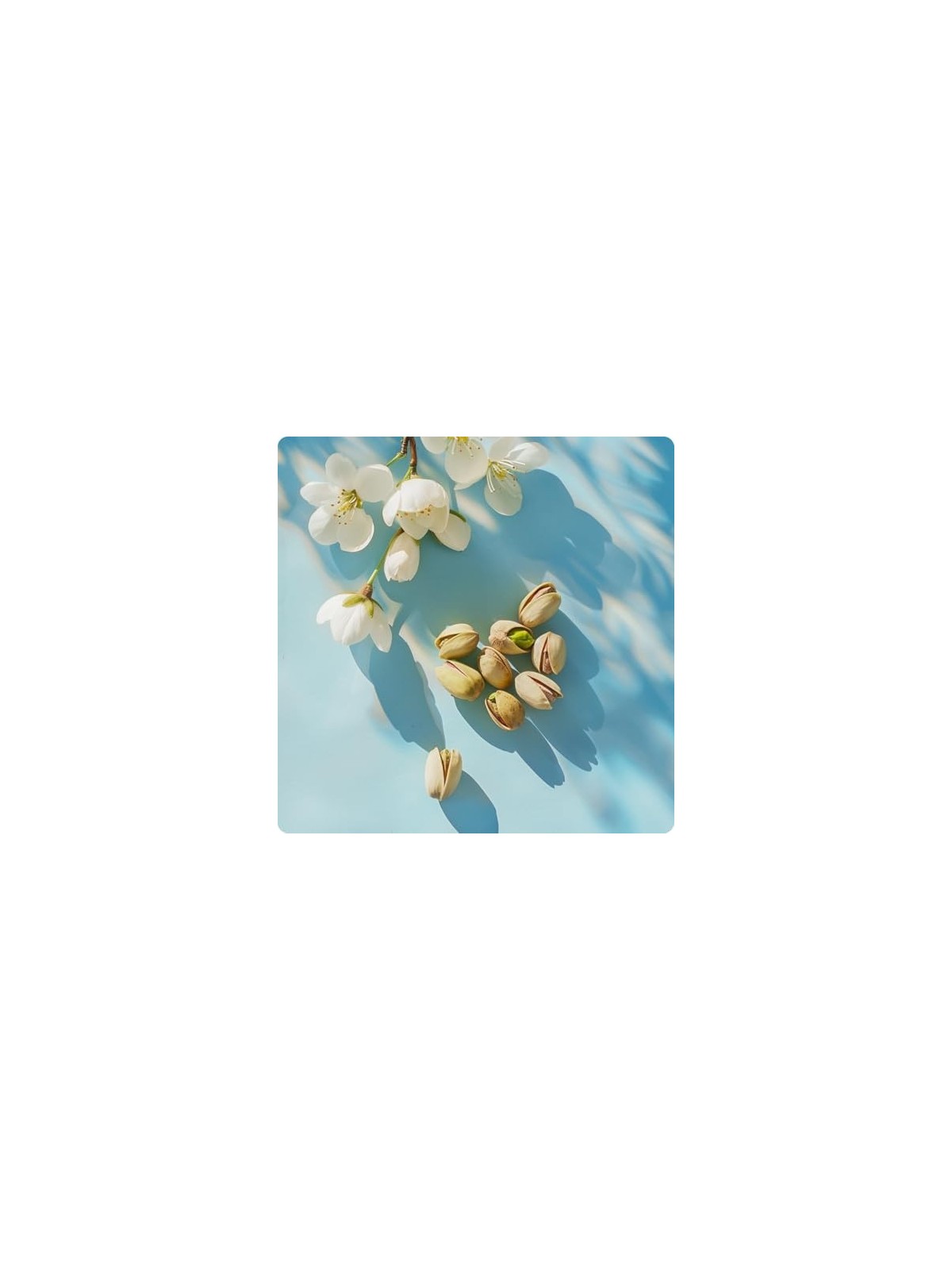 Elie Saab Girl Of Now Eau de Parfum 50ml