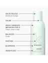 Scalp Spa Treatment Calming Foam Mask 170ml