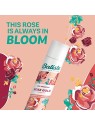 Shampoo secco alloro rosa donna 350ml