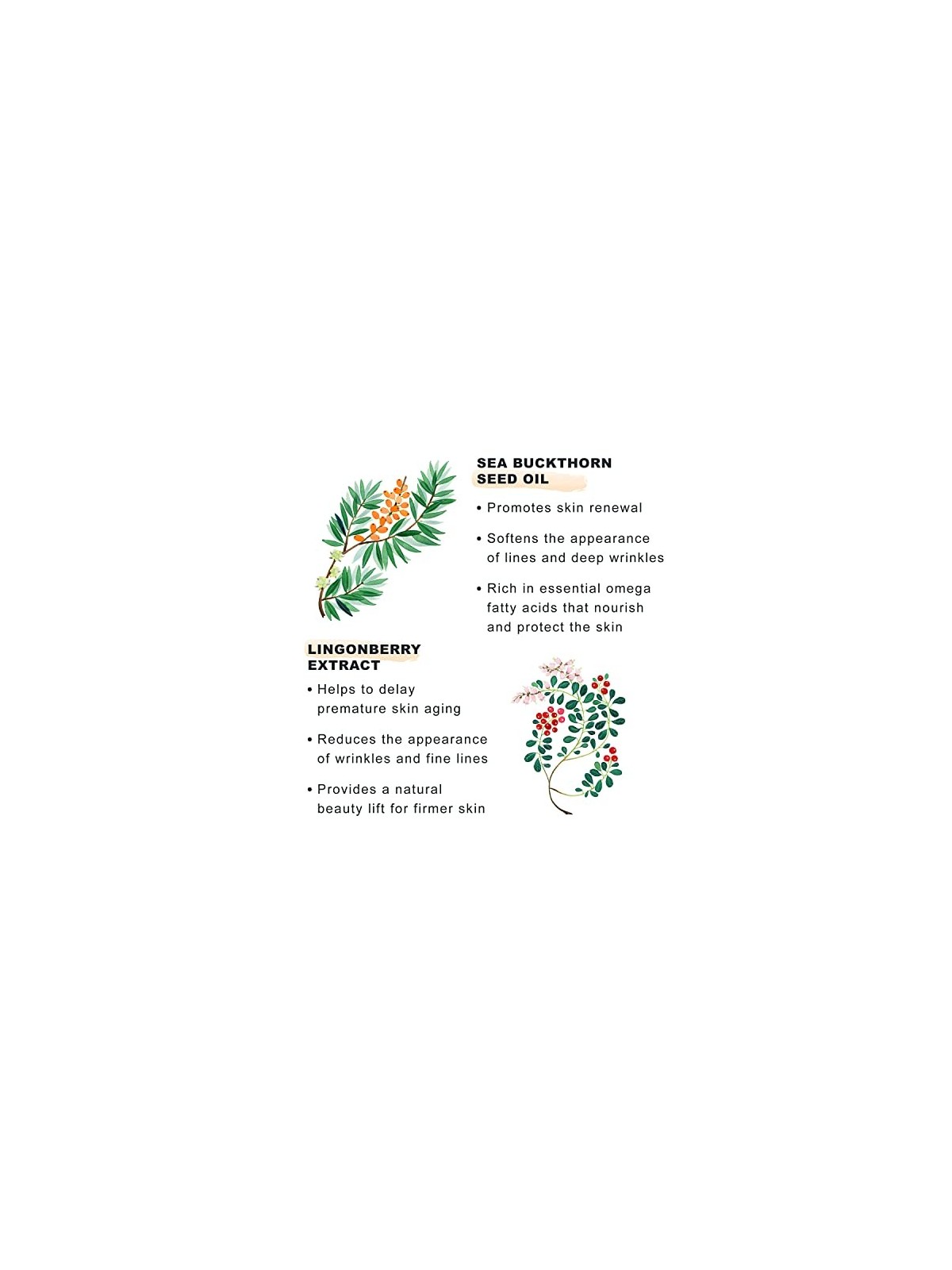 Siero antirughe e rassodante 30ml