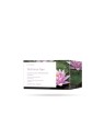Pupa Scrub Salino Lenitivo Spa Balinian 3500g