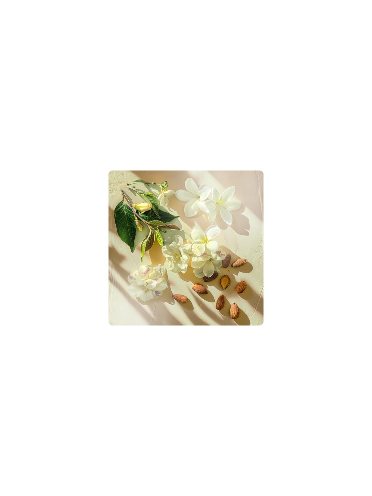 Elie Saab Girl Of Now Shine eau de parfum Spray 50ml