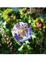 Profumo Lolita Lempicka Le Parfum donna 30ml
