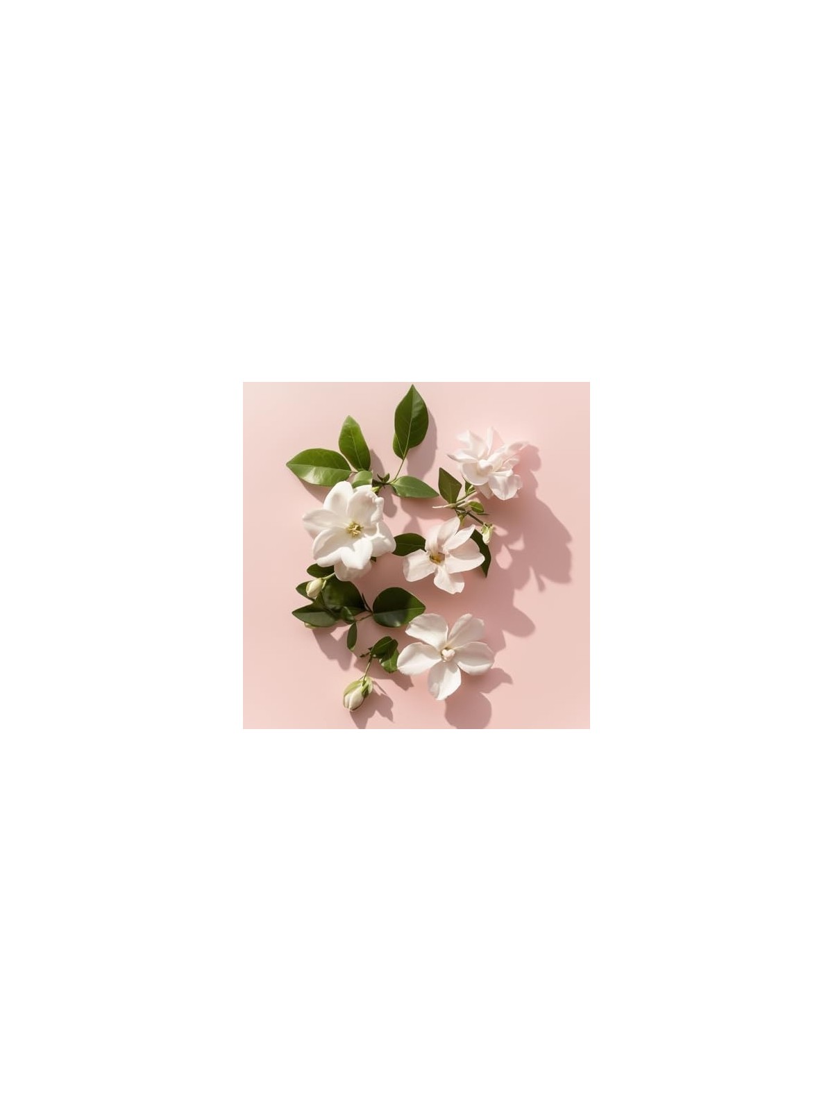 Elie Saab Le Parfum Essentiel EDP 90ml