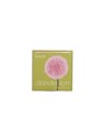 Benefit Wanderful World Blushes Powder Highlighter 6g Dandelion Baby-Pink