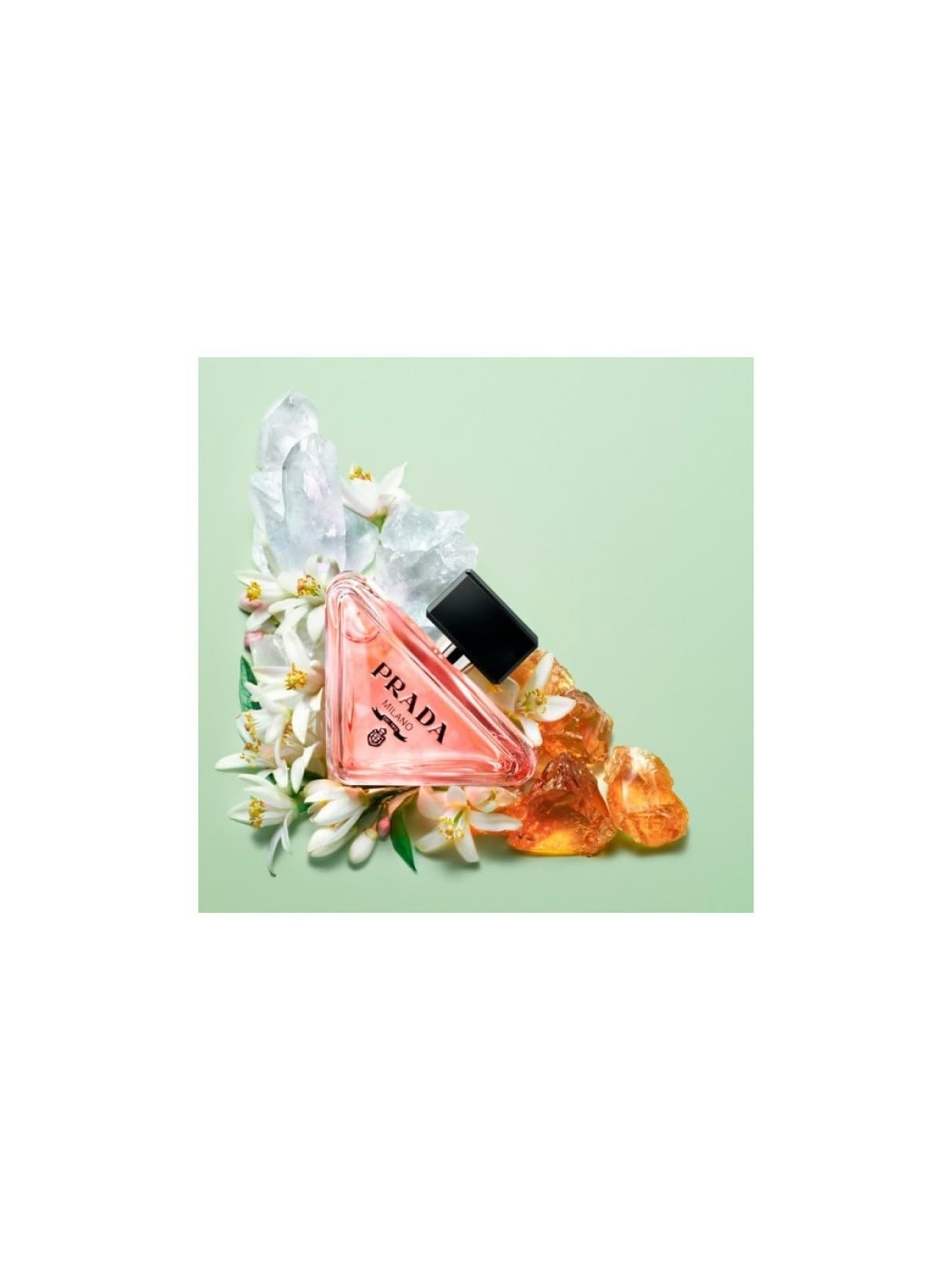 Paradoxe EDP spray 30ml