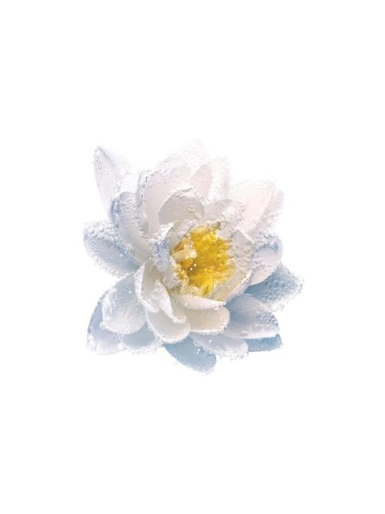 Dior Le Lait Demaquillant: delicato e idratante 200ml