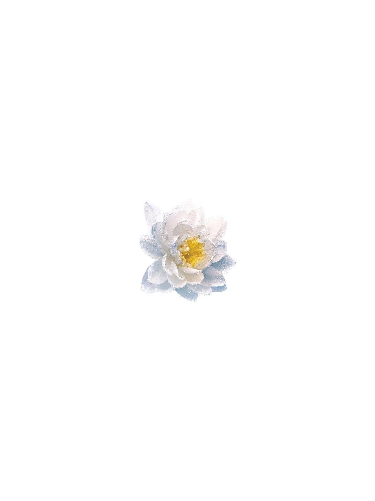 Dior Le Lait Demaquillant: delicato e idratante 200ml