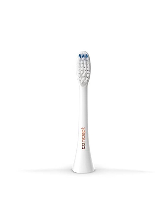 Testina sostitutiva Concept Daily Clean ZK0050