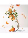 Roger & Gallet Fleur D'Osmanthus Wellbeing Fragrant Water 100ml Natural Spray Roger & Gallet www.essenzetotalstyle.com 