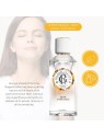 Roger & Gallet Bois D'Orange Wellbeing Fragrant Water 100ml Natural Spray