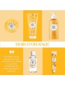 Roger & Gallet Bois D'Orange Wellbeing Fragrant Water 100ml Natural Spray