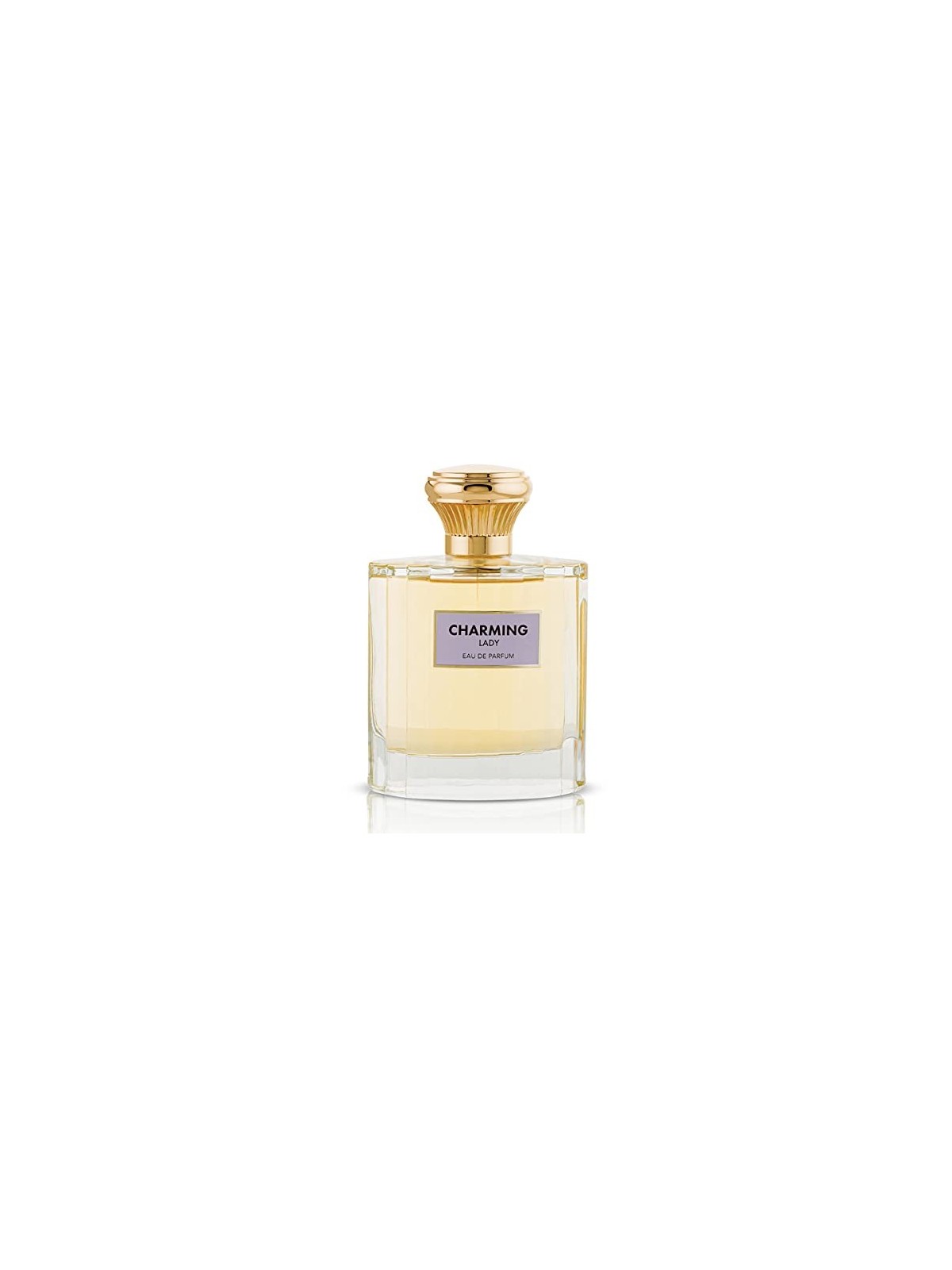 Flavia Charming Lady Eau De Parfum 100ml donna