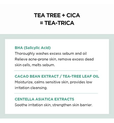 SKIN1004 TeaTrica BHA Foam Schiuma detergente per pelle a tendenza acneica donna 125ml