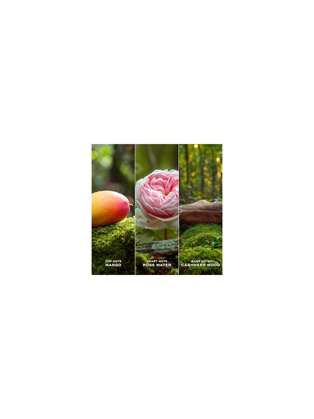 Marc Jacobs Daisy Ever So Fresh eau de parfum Spray donna 75ml