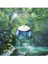 A Drop D'Issey Fraiche eau de parfum 30ml