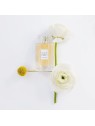 Lanvin Les Fleurs De Lanvin Sunny Magnolia EDT 90ml