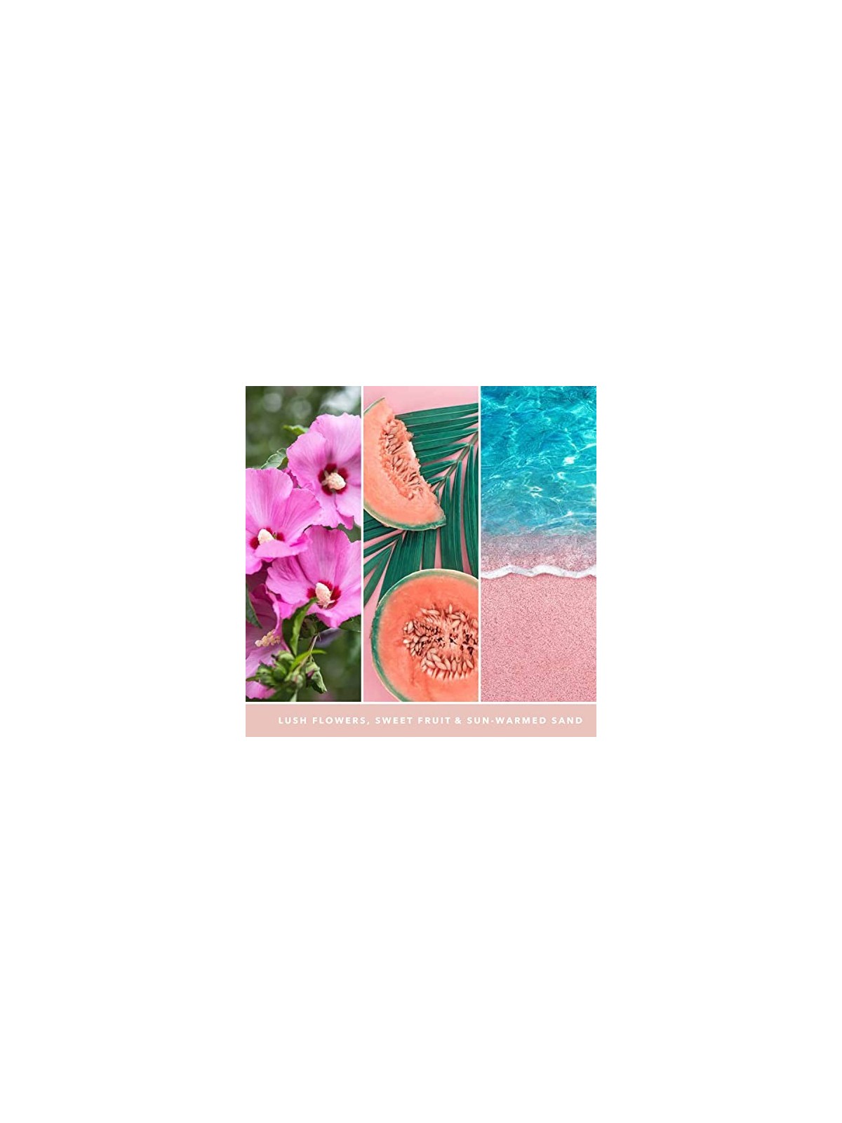 Yankee Candle Candela Signature Sabbia Rosa unisex 567 0g