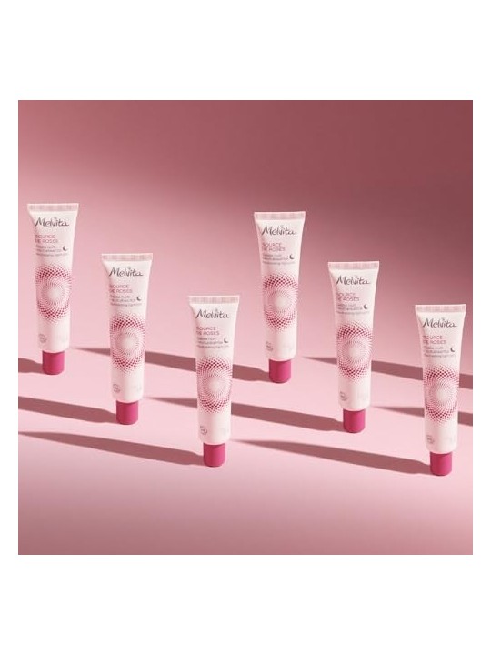 Melvita Source De Roses Revitalizing Night Jelly 40ml