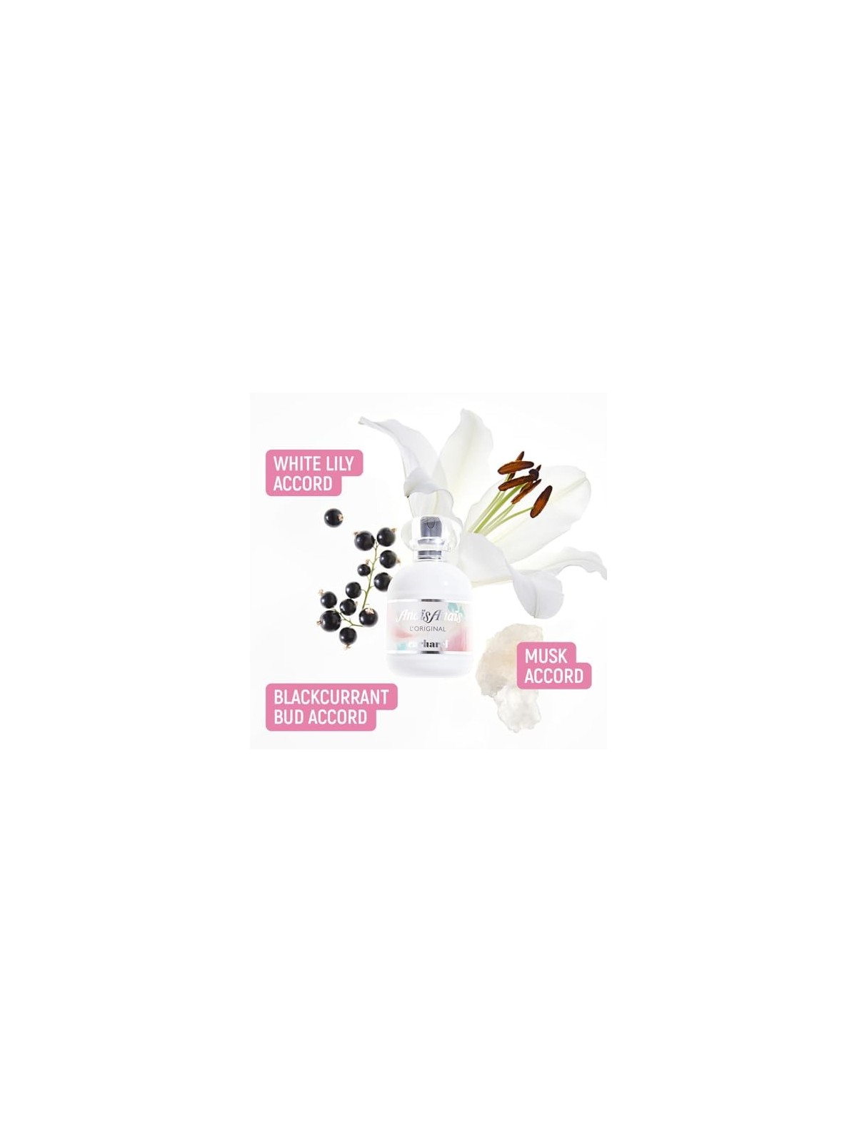 Cacharel ANAS ANAS set 3 pezzi unisex 3pz