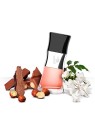 Bruno Banani Donna magnetica eau de toilette donna 30ml