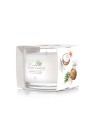 Candela Yankee Coconut Beach