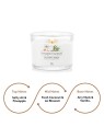 Candela Yankee Coconut Beach