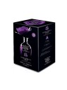 Diffusore Profumato Lavanda di Provenza e Peonia Donna 250ml
