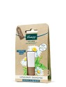 Kneipp Cura delle labbra melissa e camomilla donna 47g