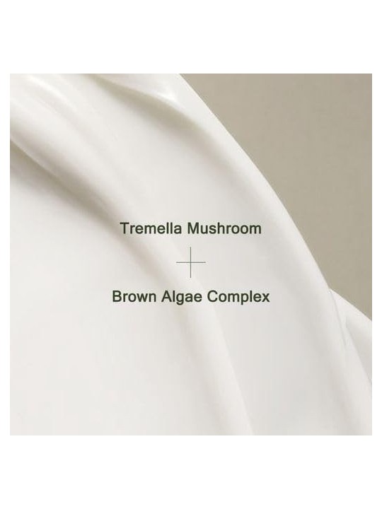 Crema giorno Mizon PHYTO PLUMP COLLAGEN 50ml donna