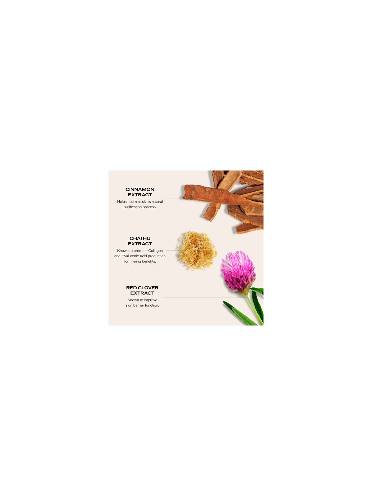 Shiseido Bio-Performance Skin Filler Duo