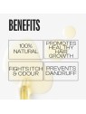 MenRock Original Beard Oil for Men