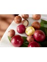 Shampoo Christophe Robin Colour Shield con Bacche di Camu-Camu