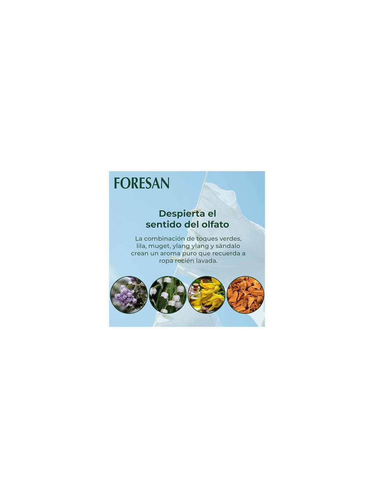 Foresan FORESAN PURE Deodorante Concentrato per Ambienti 125ml Unisex Foresan www.essenzetotalstyle.com 