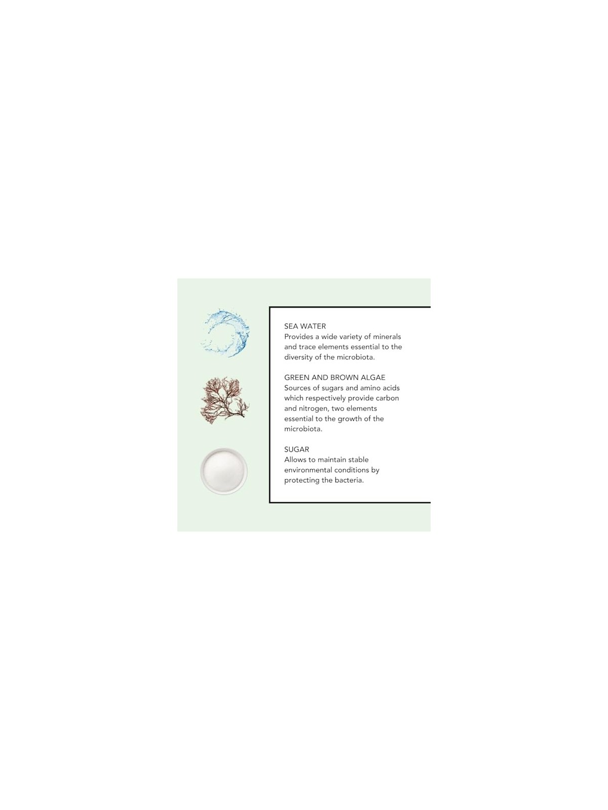 Lierac The Cleansing Foam 150ml