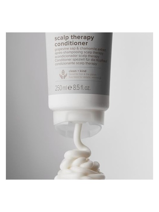 Paul Mitchell Clean Beauty Scalp Therapy Conditioner 1000 ml