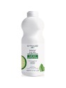 Shampoo delicato Byphasse per capelli normali a grassi 750ml unisex