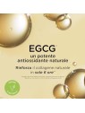 Elizabeth Arden Tonico per la pelle White Tea Skin Solutions Moisture Infusing Bi-Phase Toning Lotion 200ml donna Elizabeth Arde