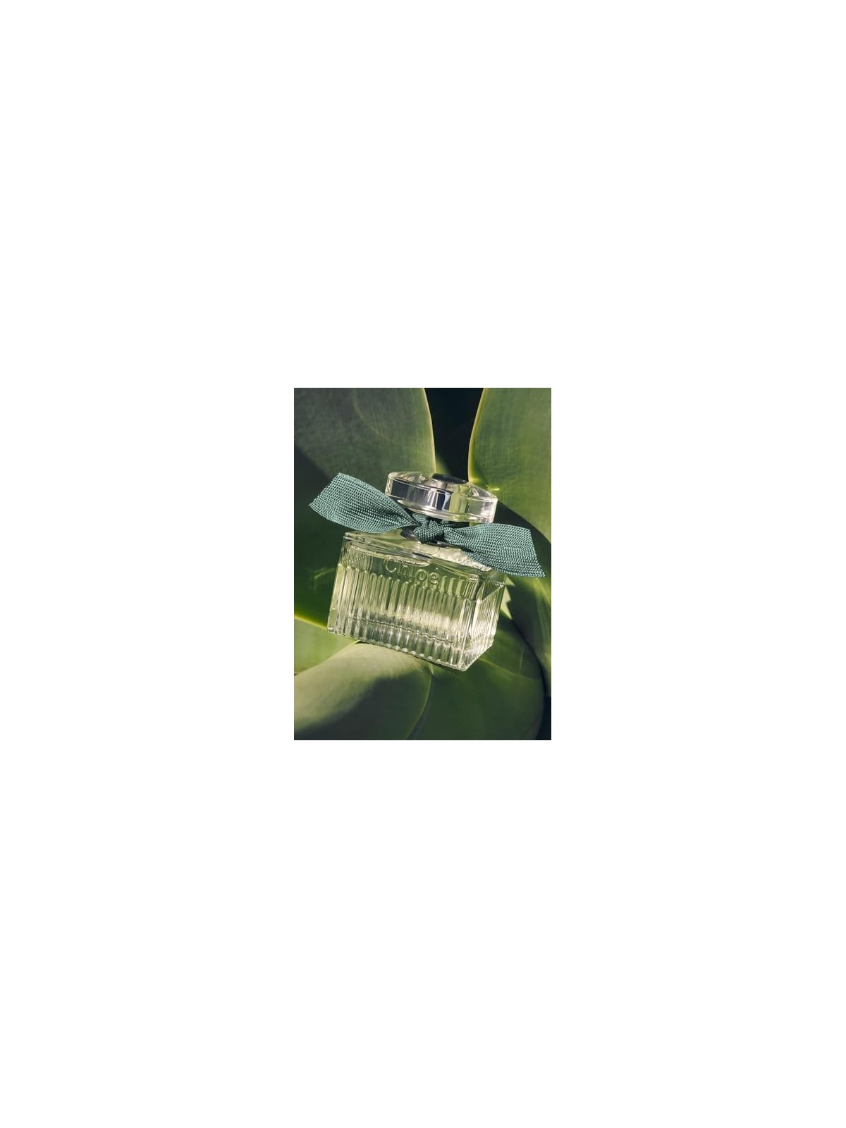 Chloe Rose Naturelle Intense eau de parfum Spray 100ml