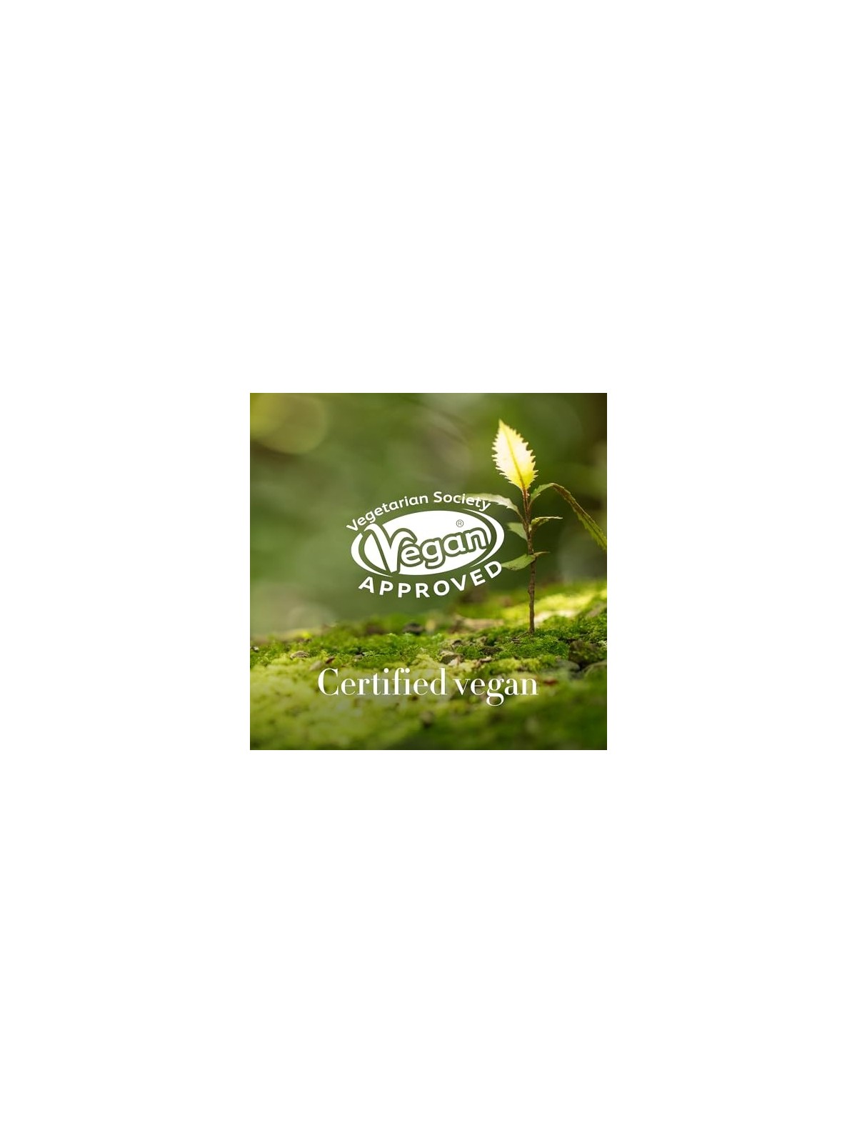 Antipodes Credo Probiotic Revitalise Serum