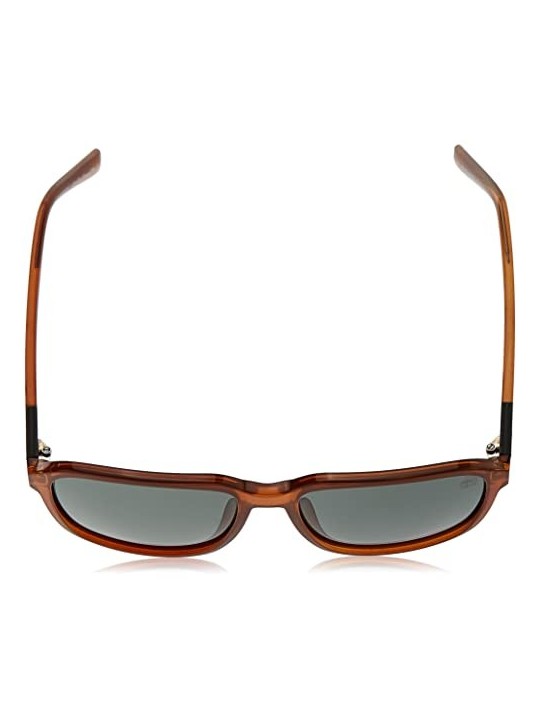 Timberland TB9311 47R 145mm Men's Sunglasses