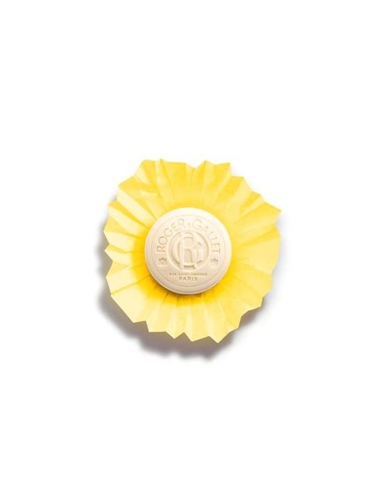 Roger Gallet Sapone Profumato CDRAT 100 gr unisex acquista 