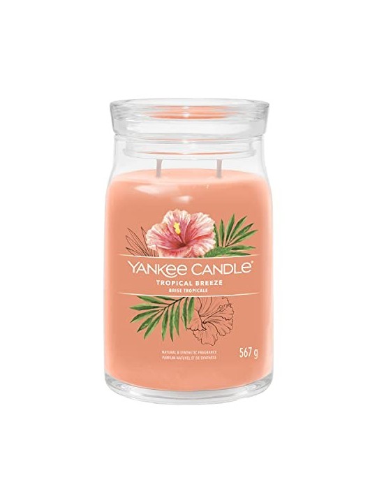 Yankee Candle Candela Profumata Signature Breeze Tropicale unisex 567 0g