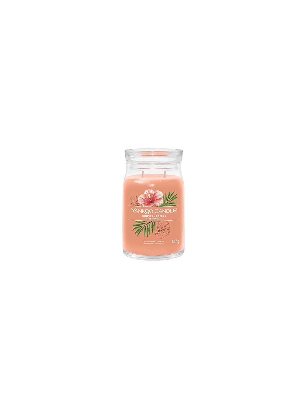 Yankee Candle Candela Profumata Signature Breeze Tropicale unisex 567 0g