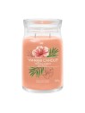 Yankee Candle Candela Profumata Signature Breeze Tropicale unisex 567 0g