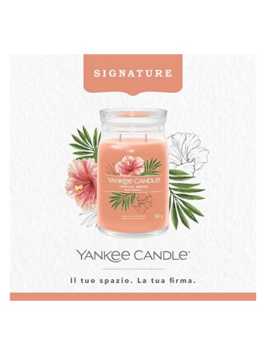 Yankee Candle Candela Profumata Signature Breeze Tropicale unisex 567 0g
