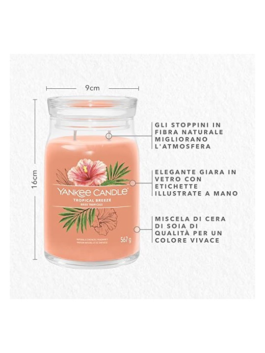 Yankee Candle Candela Profumata Signature Breeze Tropicale unisex 567 0g
