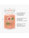 Yankee Candle Candela Profumata Signature Breeze Tropicale unisex 567 0g