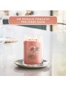 Yankee Candle Candela Profumata Signature Breeze Tropicale unisex 567 0g