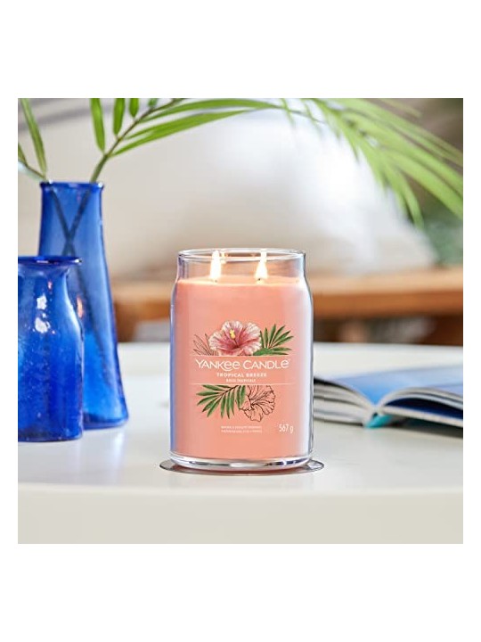 Yankee Candle Candela Profumata Signature Breeze Tropicale unisex 567 0g